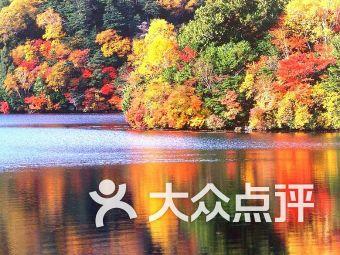 送花的问题游戏画面
