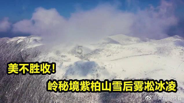 头皮屑特别严重怎么办?14大护理指南解决难题!